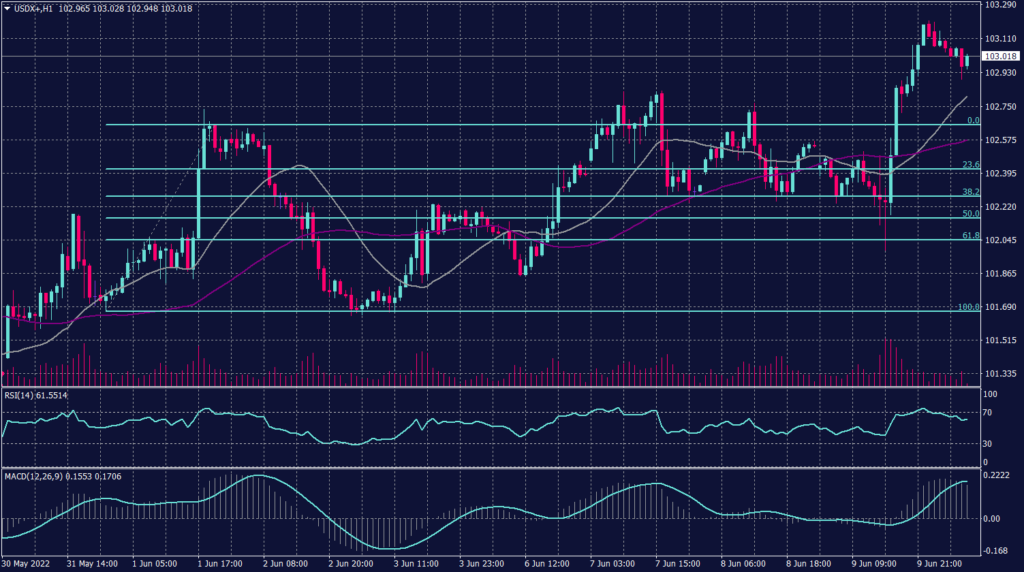 US Dollar Index Graph candle for 10 June 2022